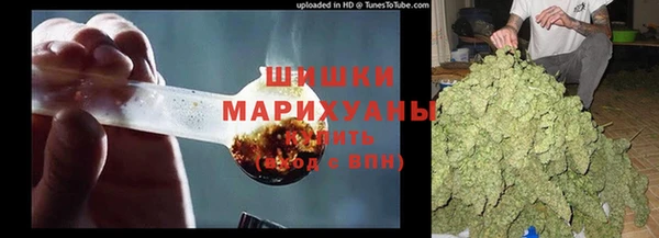 гидра Семилуки
