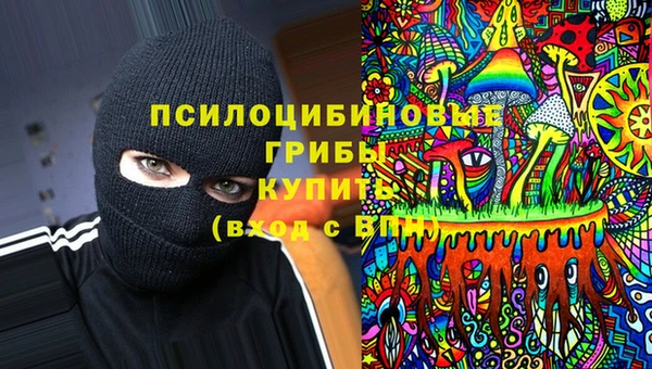 гидра Семилуки