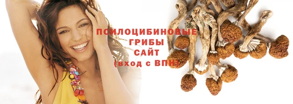 гидра Семилуки