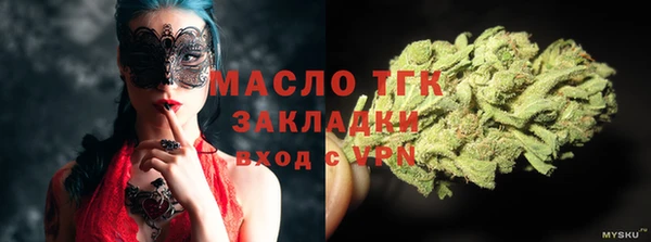 твердый Дмитриев