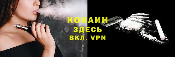 гидра Семилуки