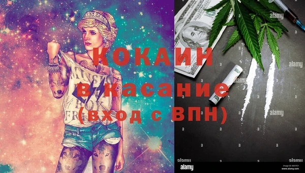 твердый Дмитриев