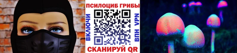 Псилоцибиновые грибы Cubensis  Нижняя Салда 